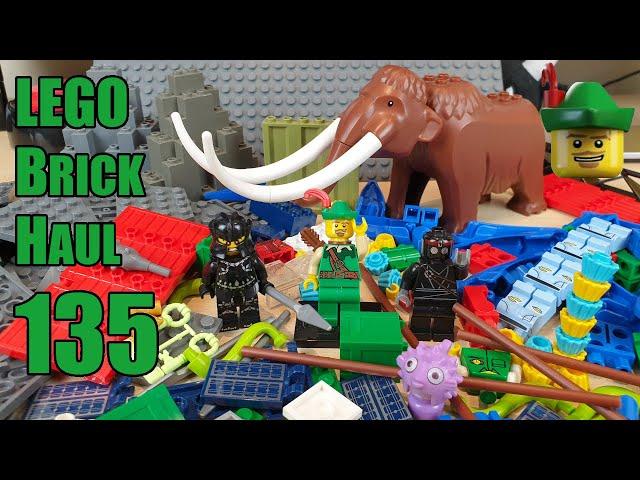 LEGO Brick Haul 135 - Brick Link & Subscribers! 