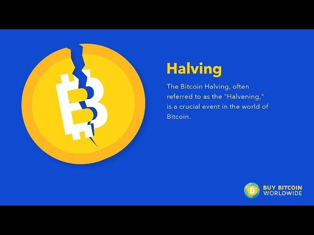 Bitcoin Halving Explained in 1 Minute