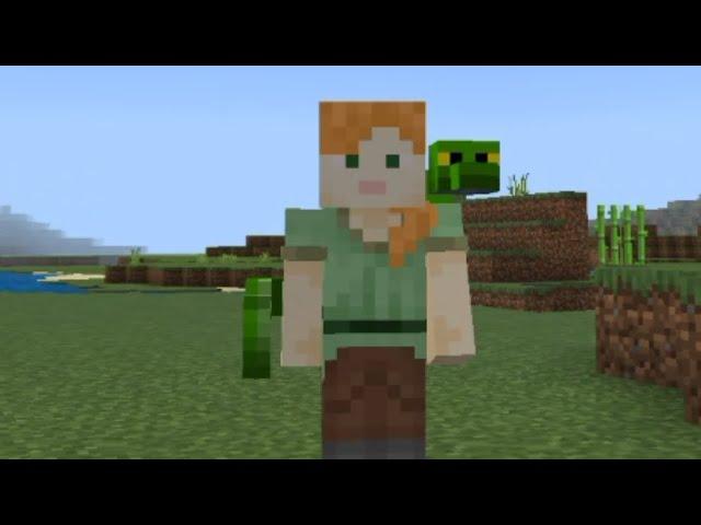 Just wanted to tell you all | Addon maker for mcpe