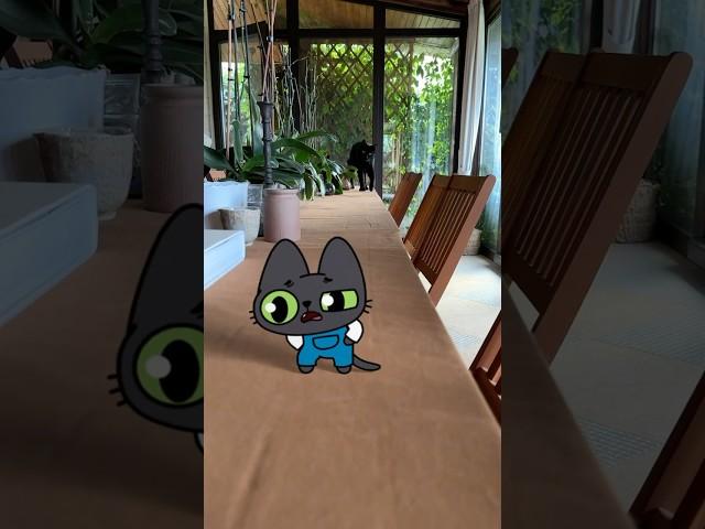 Benji meets REAL BENJI!  #simbochka #simba #animation #cat