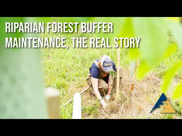 F7 Riparian Forest Buffer Maintenance, The Real Story