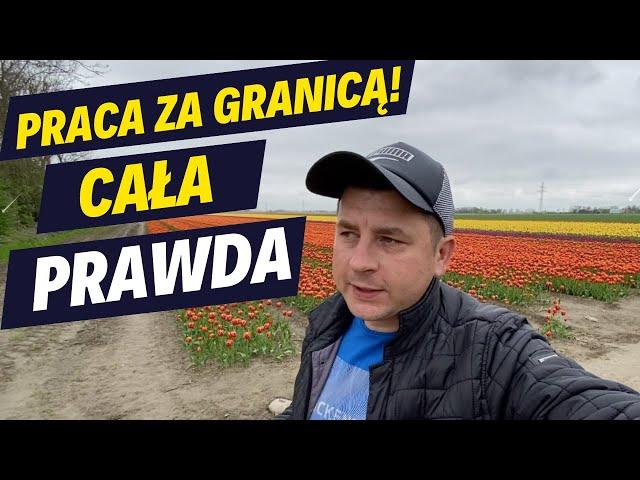 CAŁA PRAWDA PRACA ZA GRANICĄ! / EMIGRACJA