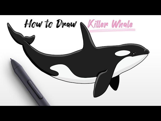 How to Draw Ocean Killer Whale (Orca animal) easy Step By Step