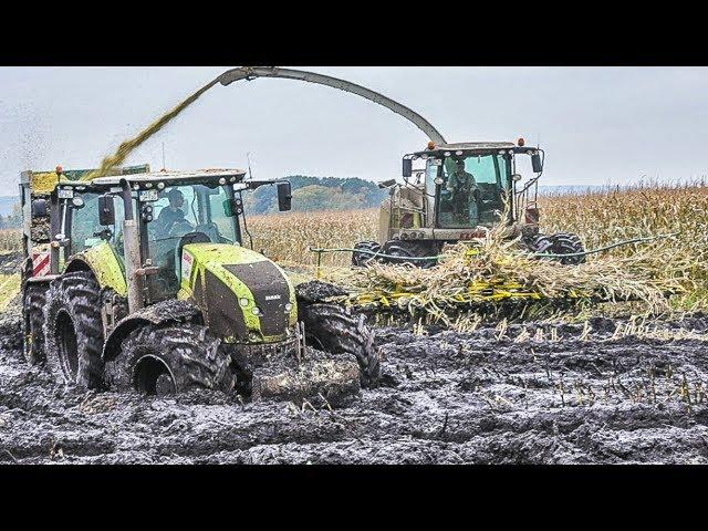 Mudslinging with John Deere tractors | chopping maize in the mud | Claas Jaguar