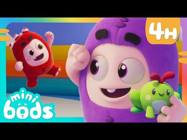 Fuse Is Toadally Excited | Minibods | Preschool Cartoons for Toddlers