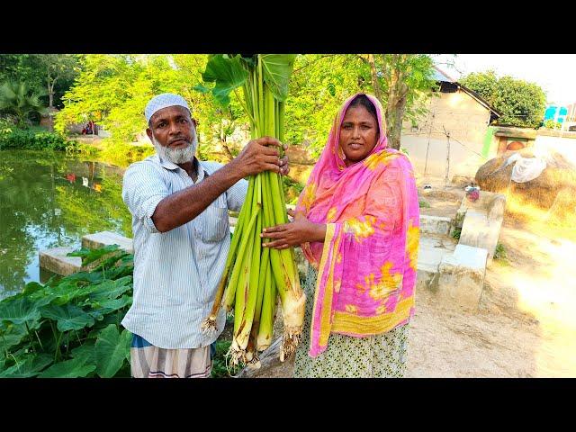 Most People Never Eat This Wild Giant Taro Root With Egg Meat Curry Recipe Harvest Big Taro COOKING