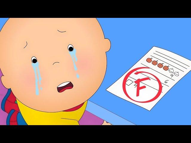 Caillou obtient un F | Caillou en Français | WildBrain Enfants