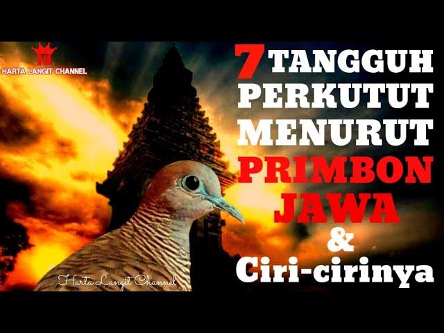 7 Tangguh Perkutut Menurut Primbon Jawa & ciri-cirinya