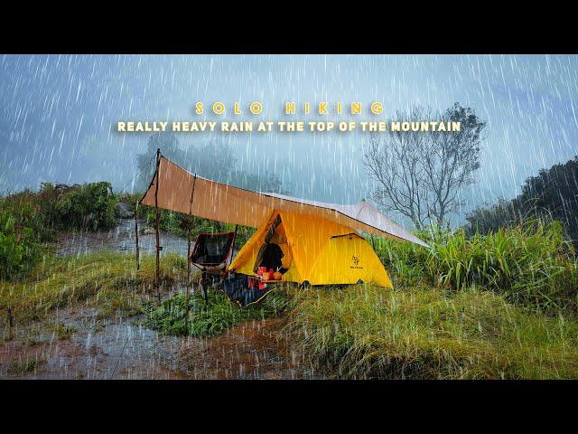 Solo Hiking Gunung Sangar | Hujan sangat Deras Di Atas Puncak Gunung