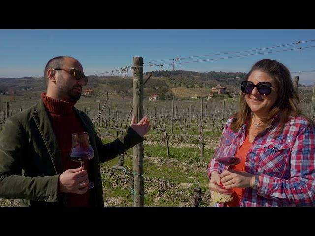 Vine to Wine - A walk in the vineyards in Montepulciano and lesson from Francesco Maramai.