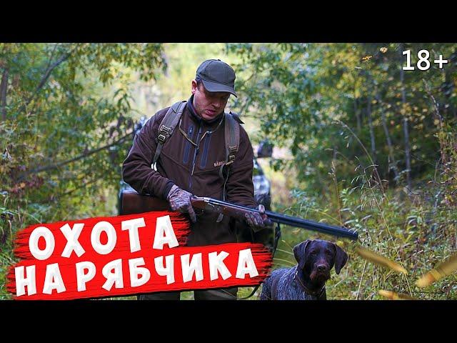 Охота на рябчика с Дратхааром.  Ответ @MyVariedLife по Охоте на медведя.