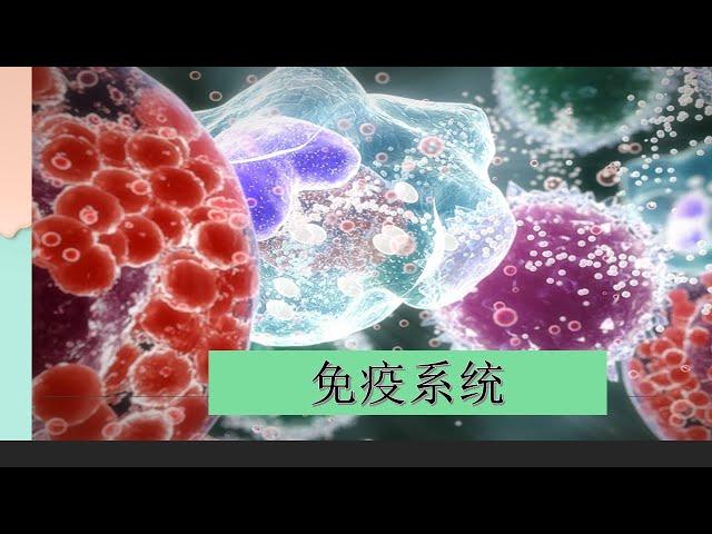 习什么是免疫系统的视角概述  Immune System (Chinese) 在四分钟内