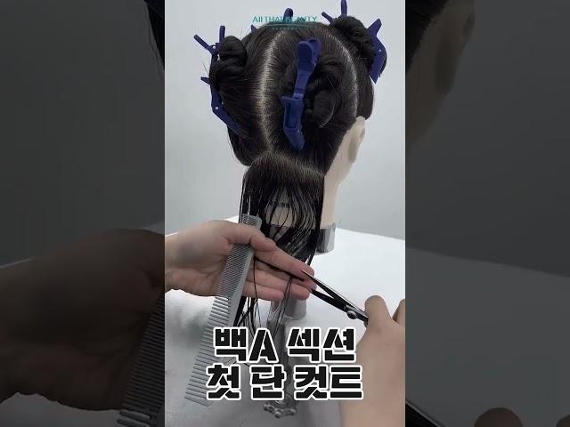 국가자격증 준비! 스파니엘 커트 쉽게 따라하기‍️‍️ l 올댓뷰티아카데미