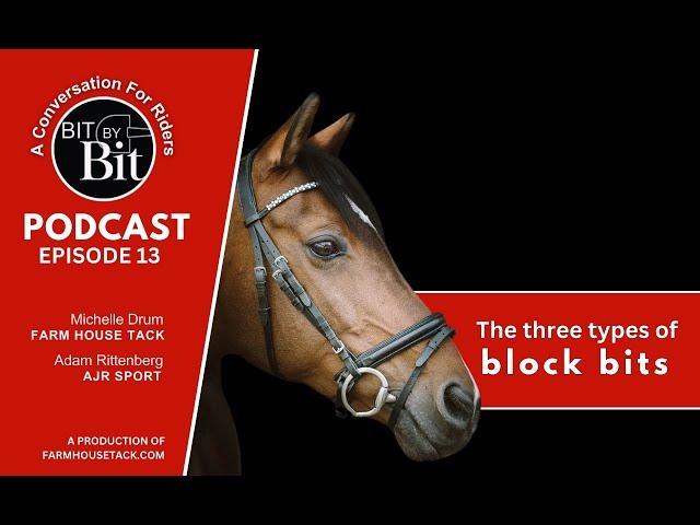 Bit By Bit Episode 13- The three types of rubber block horse bits