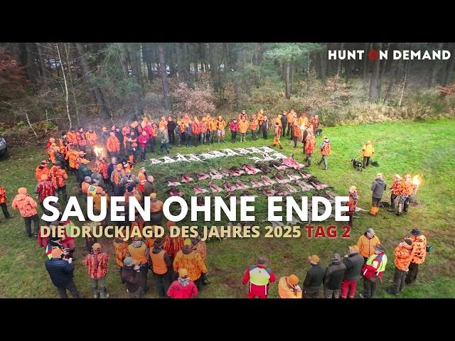  SAUEN OHNE ENDE  – DIE DRÜCKJAGD DES JAHRES 2025 Tag 2 – exklusive Ausschnitte – Hunt on Demand