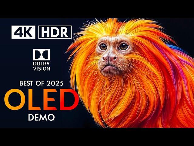 4K HDR 120FPS Best of 2025 Dolby Vision - 4K Video ULTRA HD