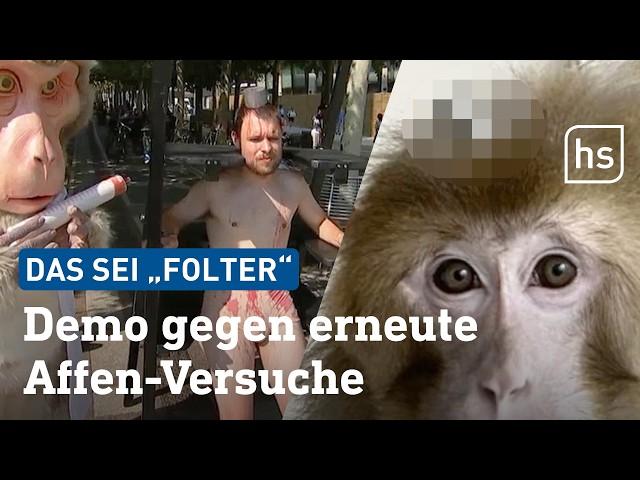 Tierversuche mit Affen: Wie es in einem Frankfurter Institut aussieht | hessenschau