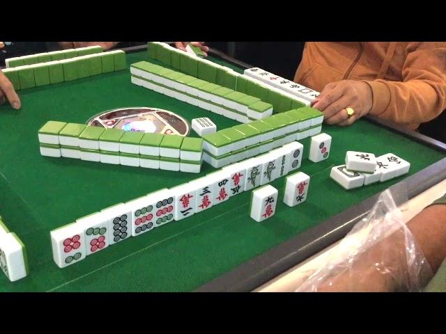 Aussie Mahjong Full #15