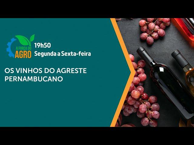 A Força do Agro - Produção vinícola no semiárido brasileiro