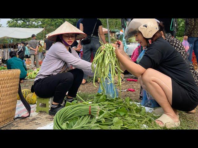 Harvesting cowpeas to sell at the market, gardening and taking care of pigs