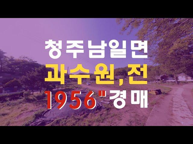 청주토지 남일면 두산리 토지 1965평 4필지  매매보다 경매물건 - 무료상담 | 청주경매 하나로 강실장