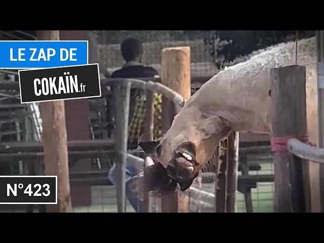 Le Zap de Cokaïn.fr n°423