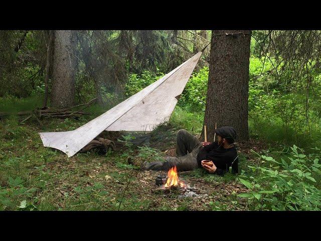 Solo Bushcraft Overnighter - Tarp Shelter, Chaga Tea, Campfire Cooking, Rain, River Camping