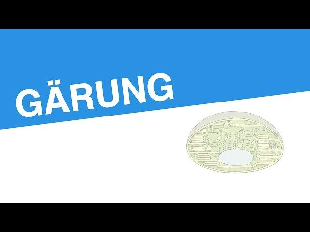 GÄRUNG | Biologie | Stoffwechselbiologie