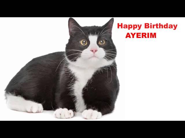 Ayerim  Cats Gatos - Happy Birthday