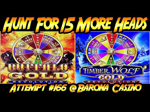 Hunt For 15 Gold Heads! Ep. #166, Wonder 4 Revolution Buffalo Gold and TimberWolf Gold Revolution!