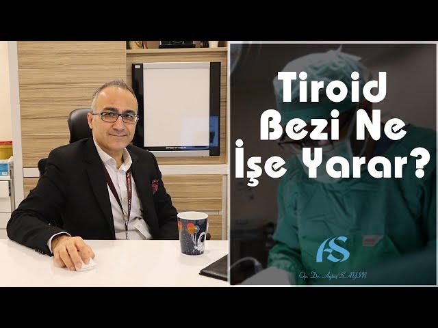 Tiroid Bezi Ne İşe Yarar? Op. Dr. Aytaç Sayın