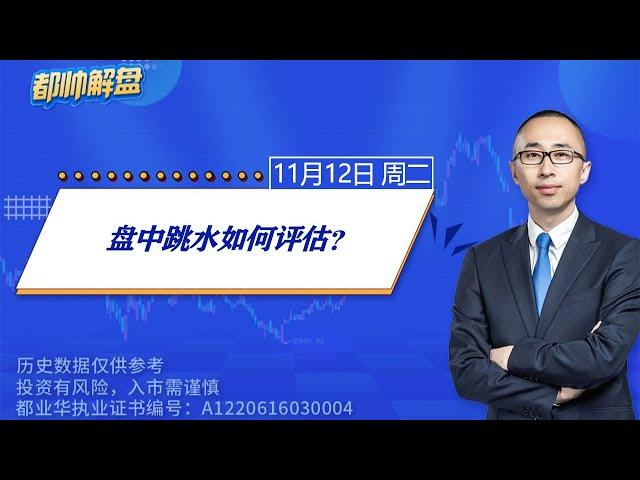 盘中跳水如何评估？ | 2024.11.12 周二 A股解盘 | #上证指数 #收评 #股票行情 #大盘分析 #都业华 #每日解盘 #缠中说禅 #中枢理论 #技术面分析