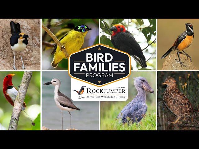 25 years of Rockjumper Birding Tours