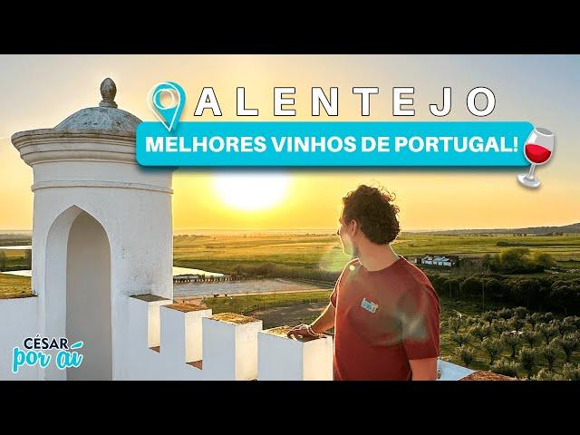 ALENTEJO, PORTUGAL | TORRE de PALMA - UM HOTEL VINÍCOLA na REGIÃO dos VINHOS DE PORTUGAL!