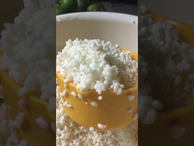 How To Make Suman Glutinous Rice Coconut Milk  #Shorts travel,cooking, gardening