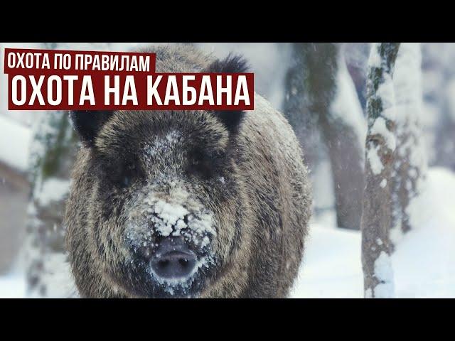 Охота на кабана // Охота по правилам. Выпуск 7