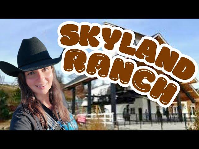 SkyLand Ranch in Sevierville, TN- An Experience Like No Other! Highland Cows!