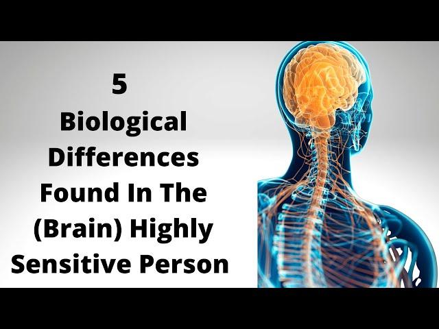 5 Brain Differences Found In The Highly Sensitive Person (HSP) #highlysensitivepeople #HSP