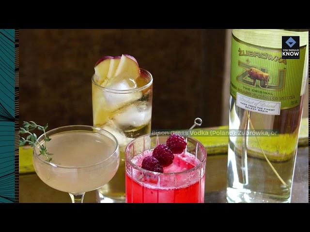 Top 10 Unusual Drinks from Different Cultures