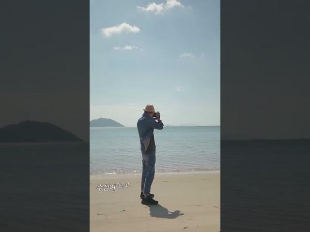 연인과 함께 떠나는 전라남도 보성 힐링여행 #shorts