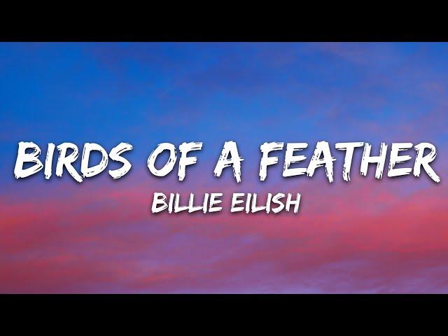 Billie Eilish - BIRDS OF A FEATHER (Lyrics)