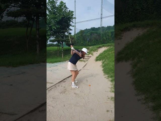 오늘 탈출이 될라나? #shorts #영웅 #백돌이 #백순이 #주말골퍼 #싱글골퍼 #벙커샷 #초보골퍼
