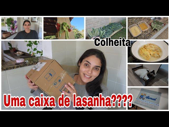 vlog/nossa rotina/lavando roupas/colhendo planta peixinho/como ficou minhas toalhas