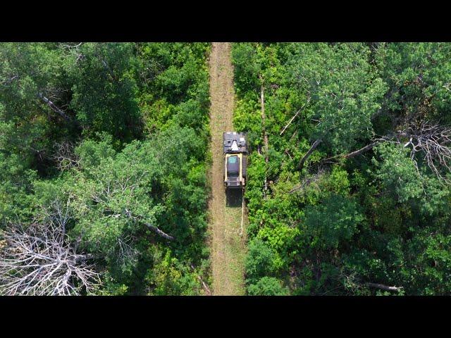 Brush Mowing  Over 400 Acres of Land - Forestry Mulching