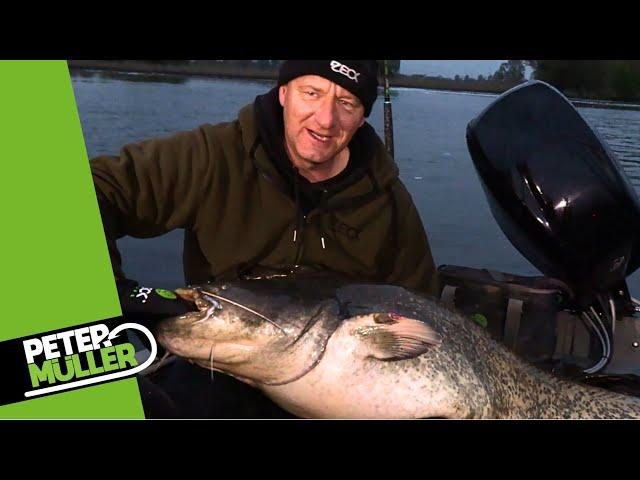 Wallerangeln - Neues Gewässer + Eine Montage für Wurm und Köderfisch #fishing #angeln