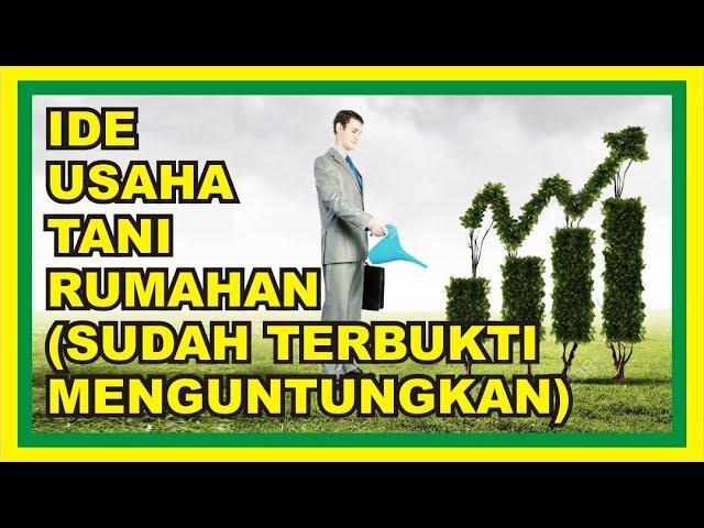 Ide Usaha Tani Rumahan yang Terbukti Menguntungkan