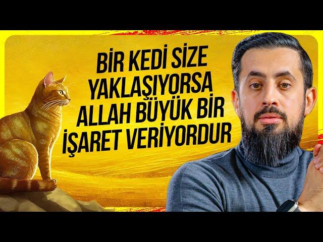 Bir Kedi Size Yaklaşıyorsa Allah Büyük Bir İşaret Veriyordur - Kelb @Mehmedyildiz