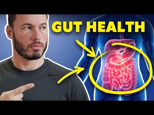 Why Your Gut Health Is SO Important - An Intro to Common Issues and Treatments