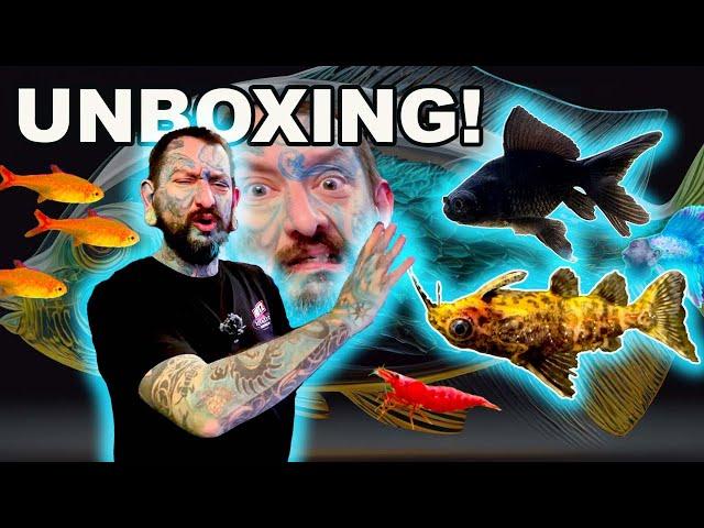 UNBOXING GWESOME GOLDFISH! SUPER SHRIMP!! COOL CATFISH!!! Paul's Aquariums