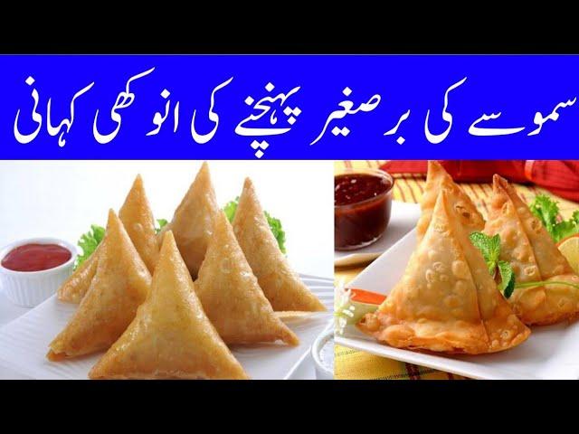 Samosa old history | Amazing fast food story | samosa recipe | wasaib info tv